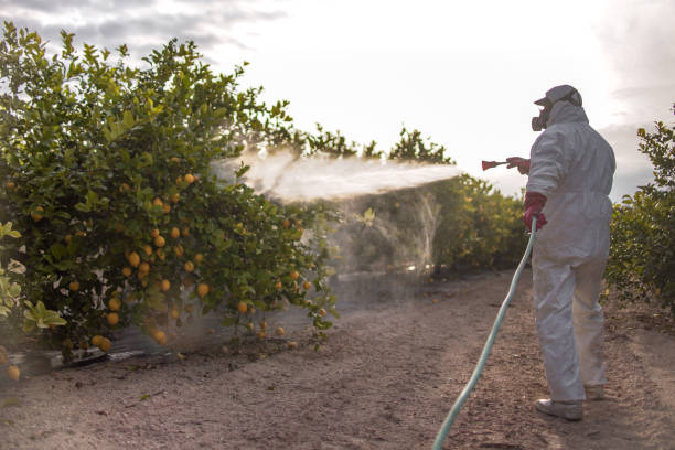 Best Insect Control  in Pullman, WA